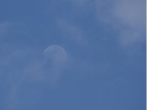LUA TRANSPARENTE