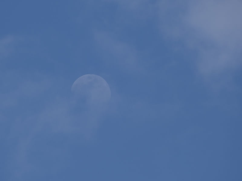 LUA TRANSPARENTE