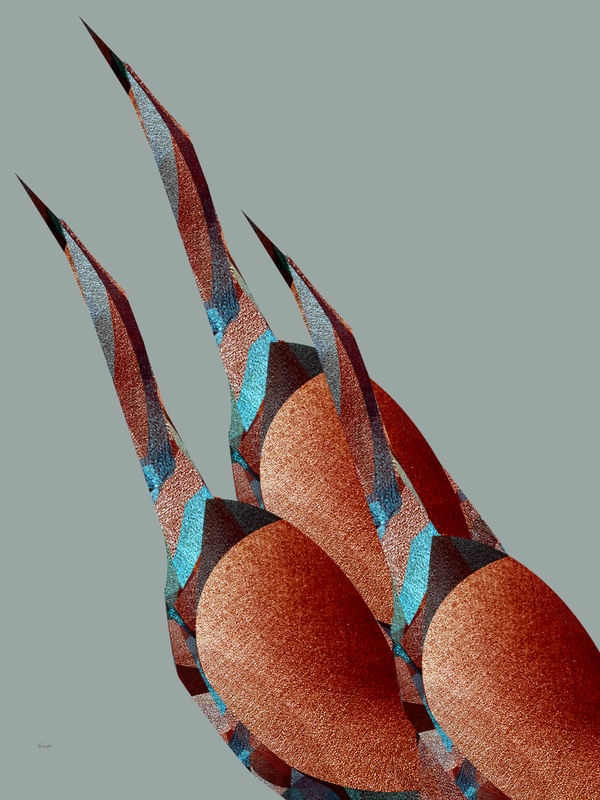 ABSTRACT BIRDS 13.12.2021