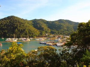 SACO DA RIBEIRA - UBATUBA, SP