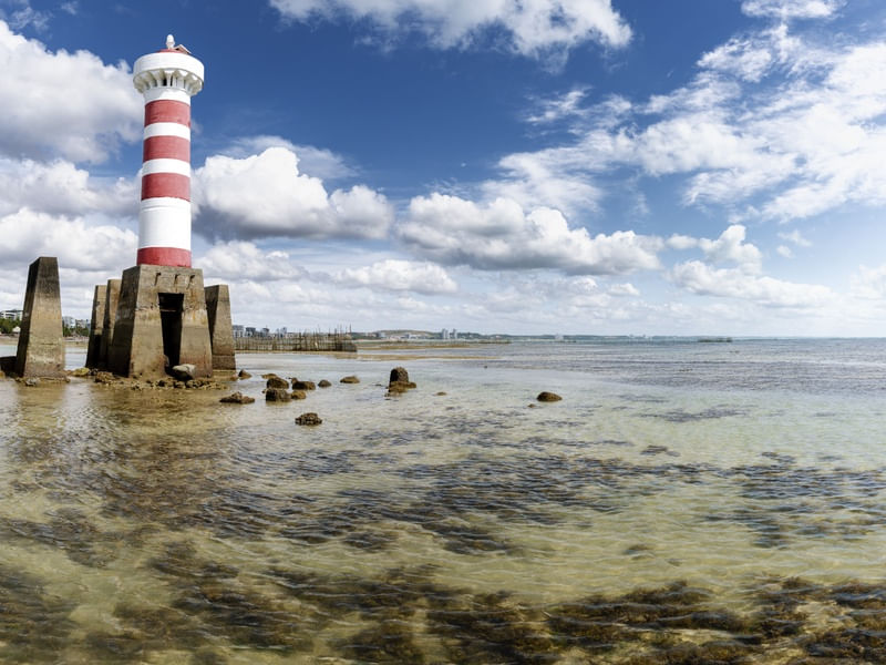 O FAROL DA PONTA VERDE MACEIÓ