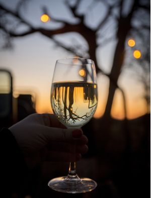 TAÇA DE VINHO NA NATUREZA