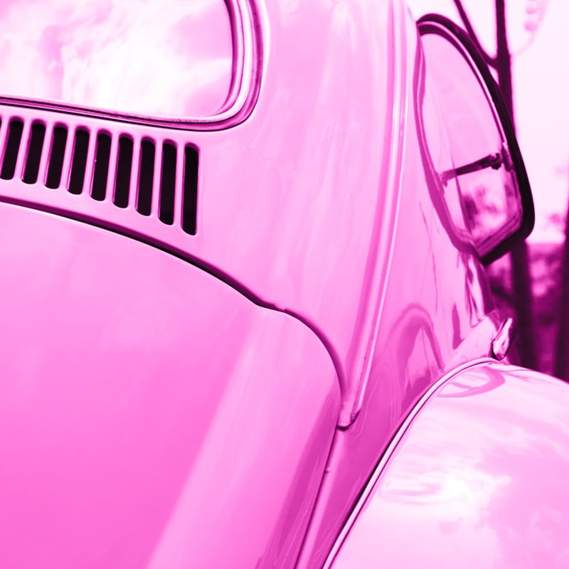 VOLKS ROSA