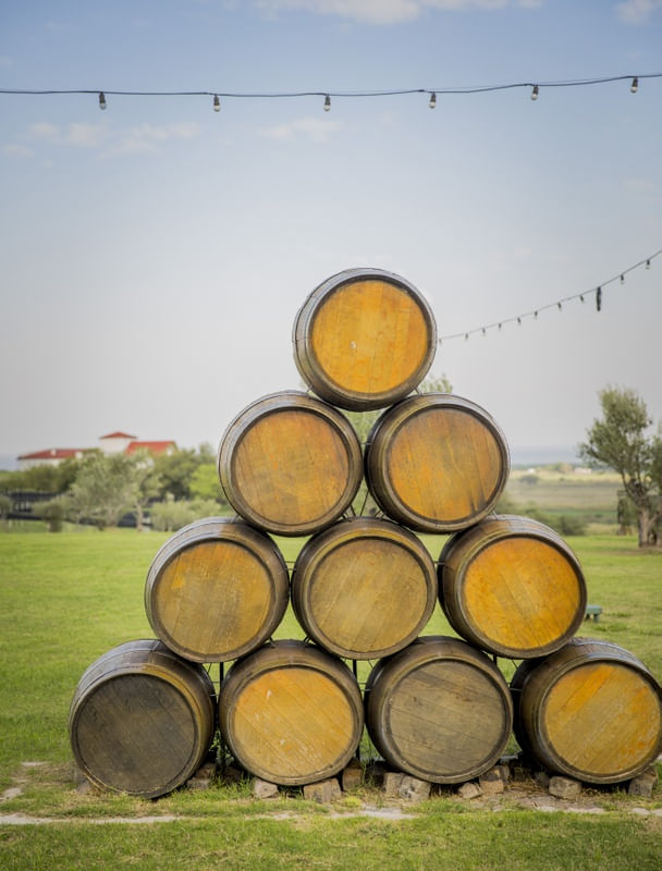 BARRIL E VINHO EM VINÍCOLA I