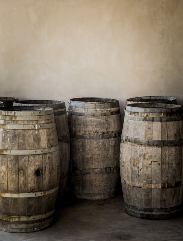 BARRIL E VINHO EM VINÍCOLA II