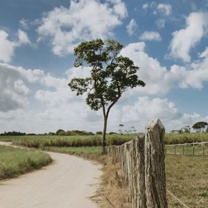 DETALHES QUE VI PELO CAMINHO