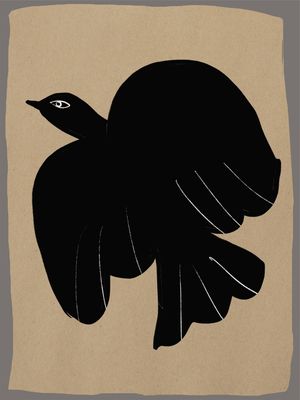 BIRD 7