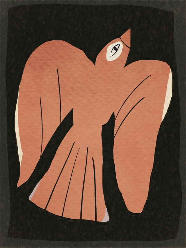 BIRD 8