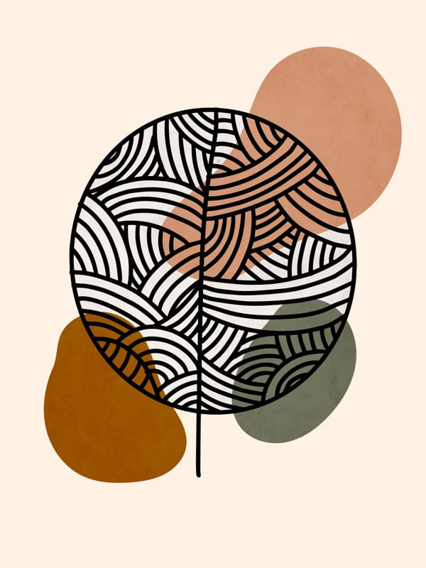 BOTANICA E FORMAS ORGANICAS 4