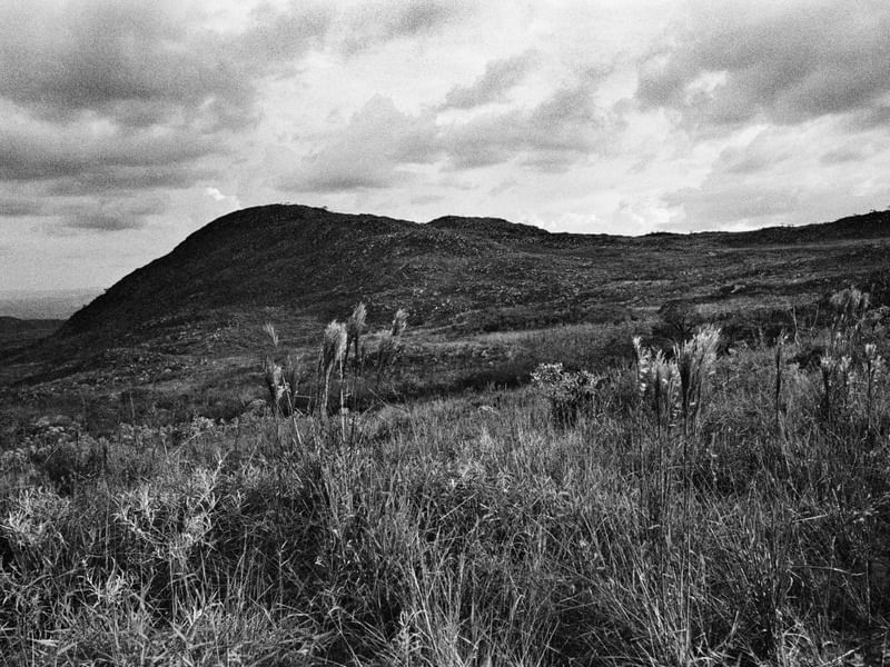 BLACK NATURE - ANALOGICO 2