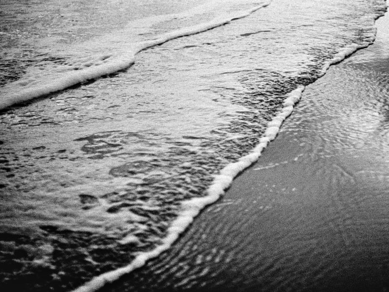 BLACK WAVES - ANALOGICO 3