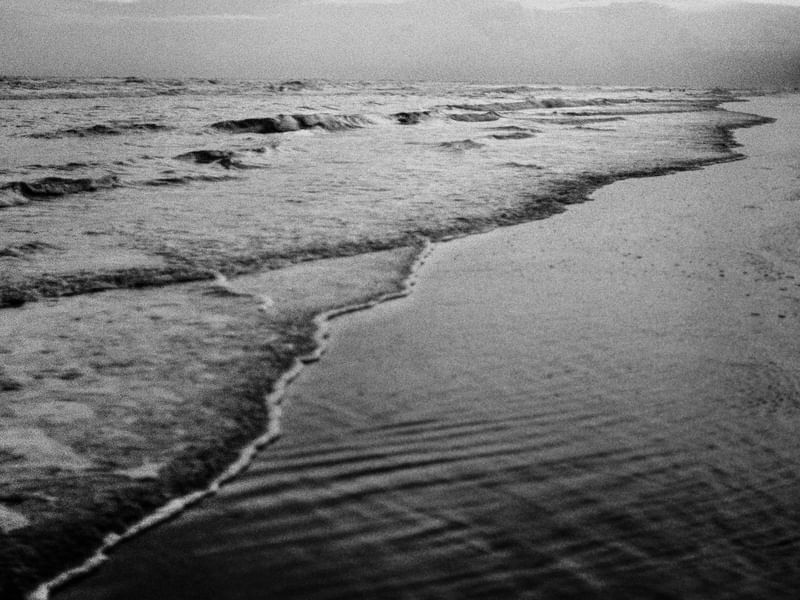 BLACK WAVES - ANALOGICO 5