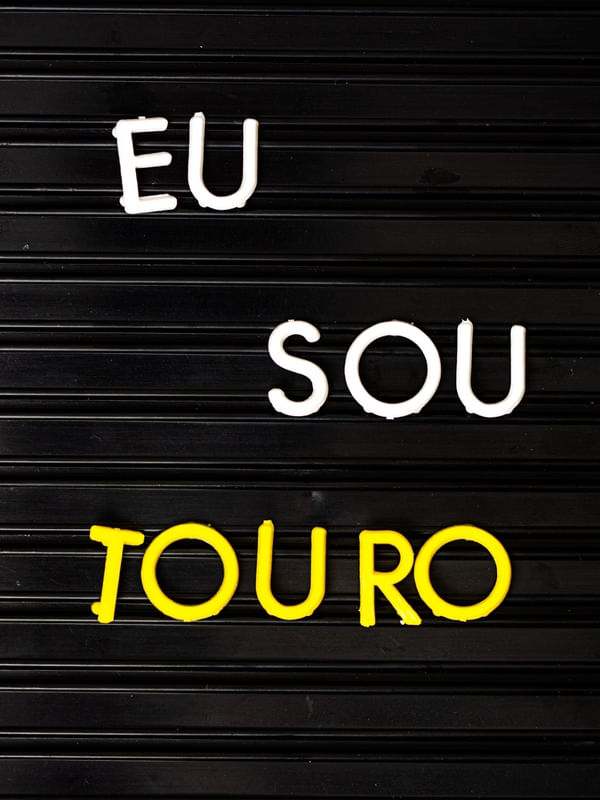 EU SOU TOURO