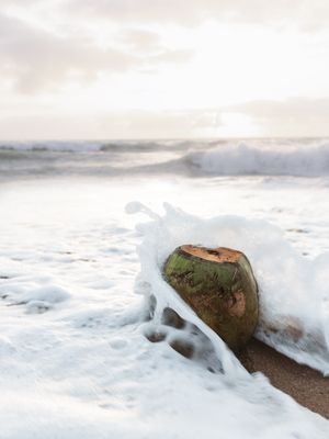 WHITE SPLASH