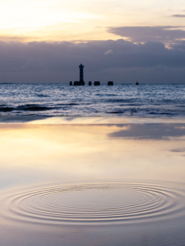 PINK CIRCLE