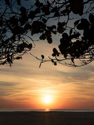 BRAVA SUNRISE