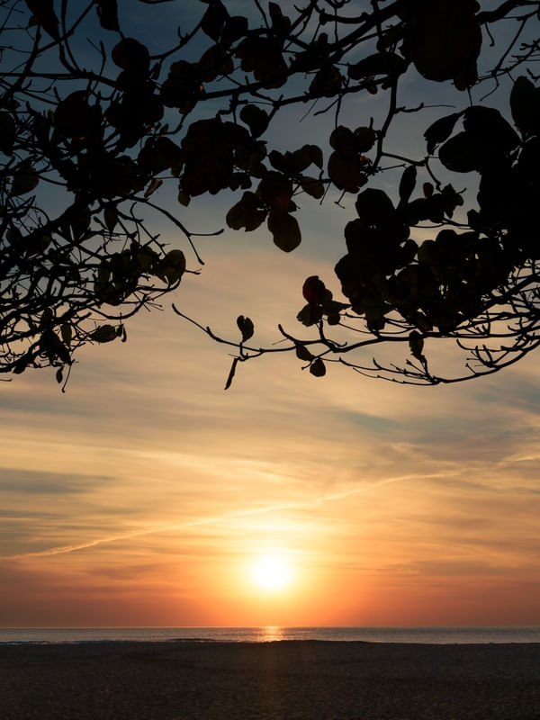 BRAVA SUNRISE
