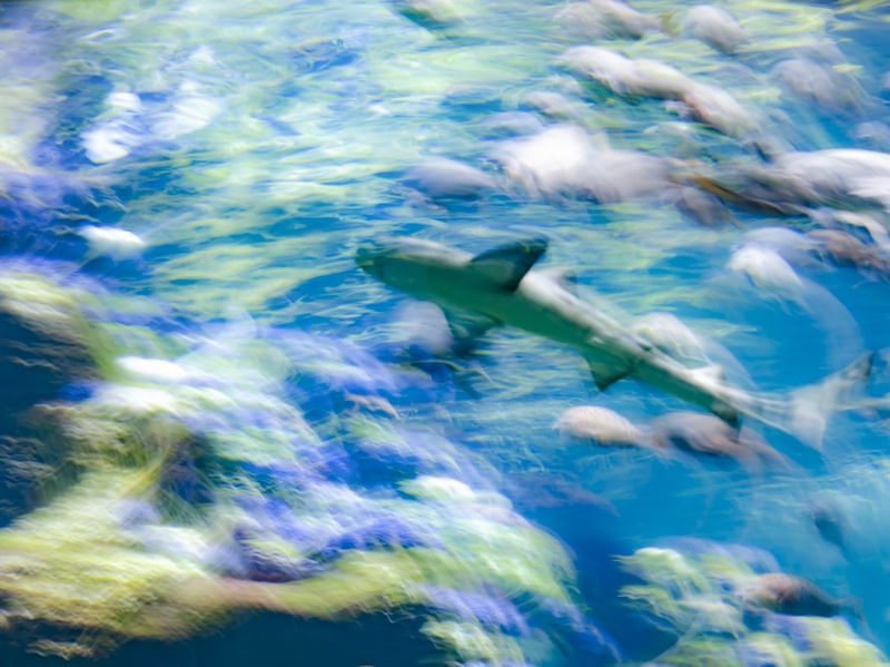 OCEAN BLUR