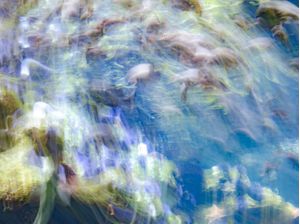 OCEAN BLUR2
