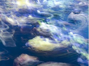 OCEAN BLUR3