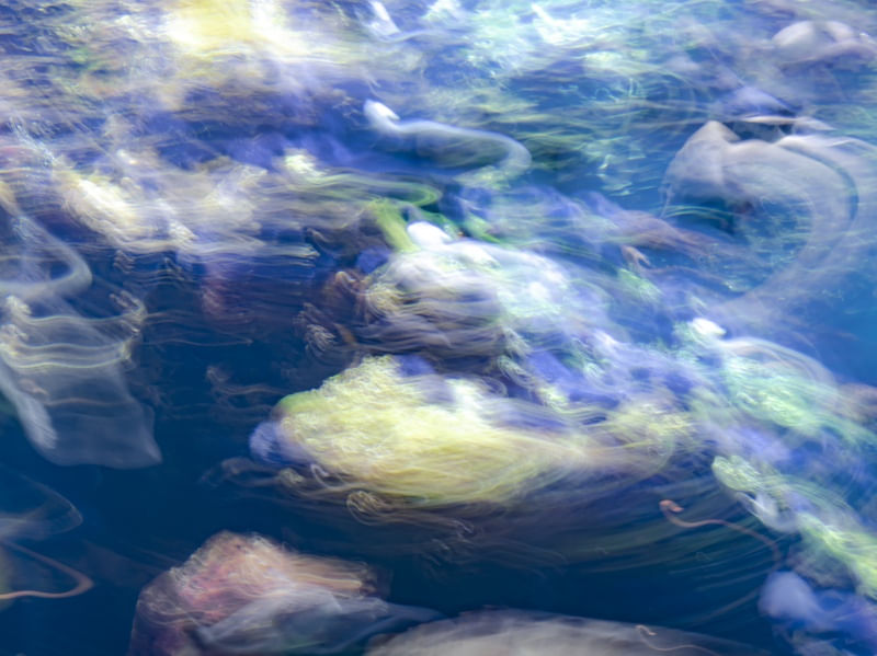 OCEAN BLUR3