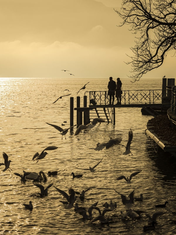LAGO EM VEVEY