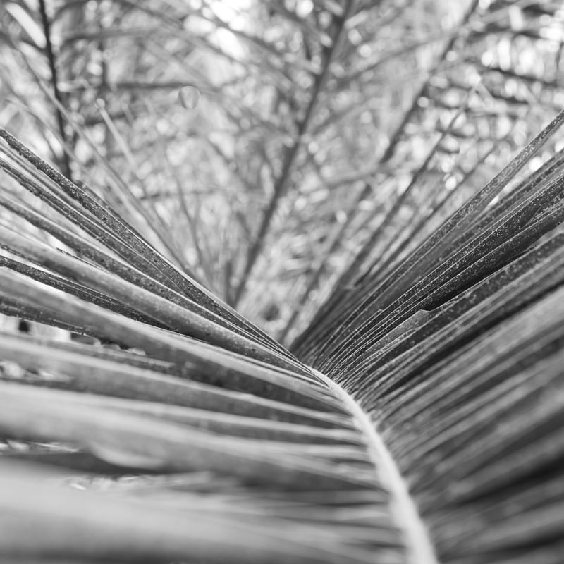 A NATUREZA E SUAS TEXTURAS