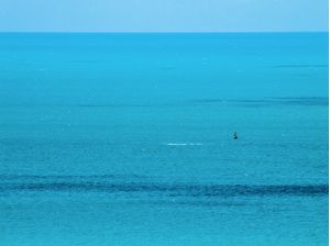 PAZ NO MAR AZUL