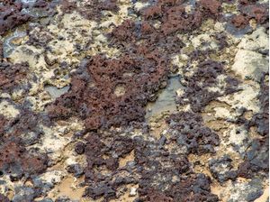 PEDRAS SOBRE PEDRAS 2