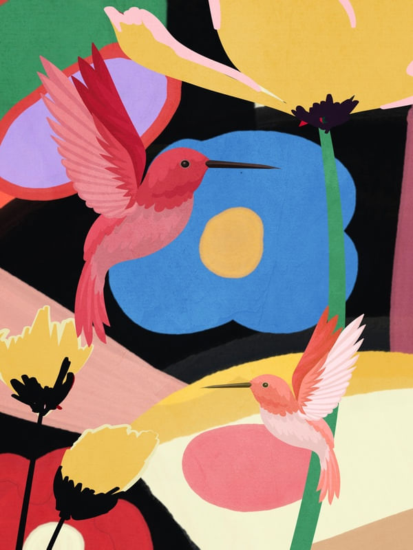COLORFUL NATURE1