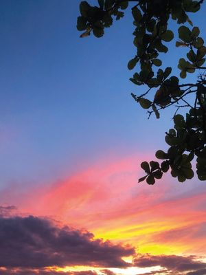 FLORIANÓPOLIS - SKY MAGIC SUNSET