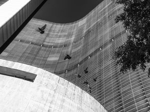 COPAN 055, SÃO PAULO