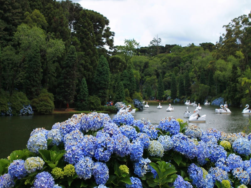 LAGO NEGRO - GRAMADO, RS