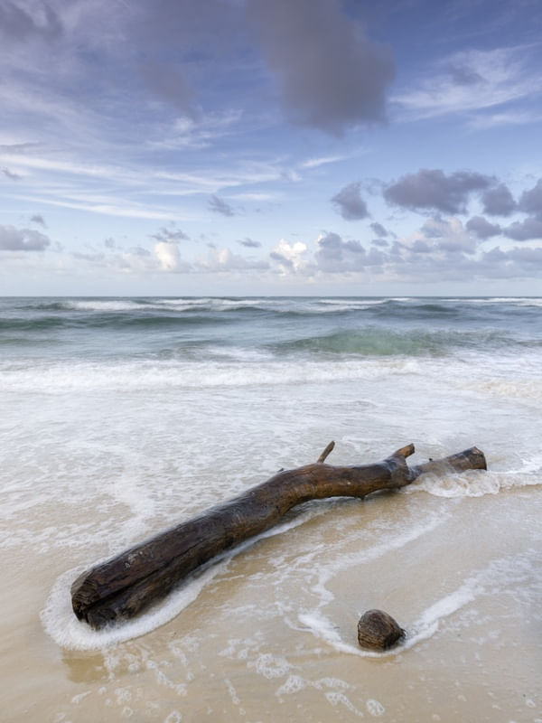 DE VOLTA AO MAR