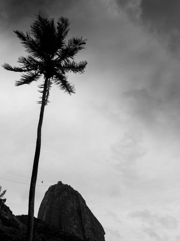PRETO URCA