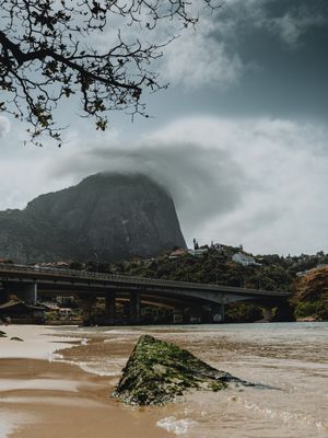 OS GALHOS AO MAR