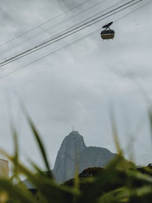 OS PÁSSAROS E O BONDE
