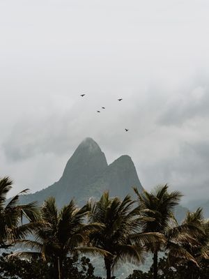 NUBLADO TROPICAL