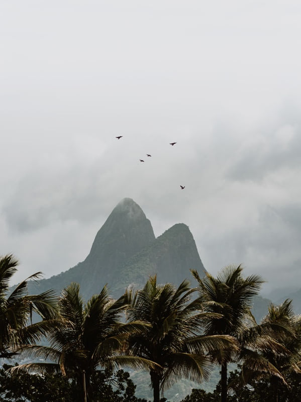 NUBLADO TROPICAL
