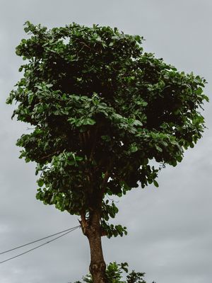 AMARRA PRA NÃO CAIR