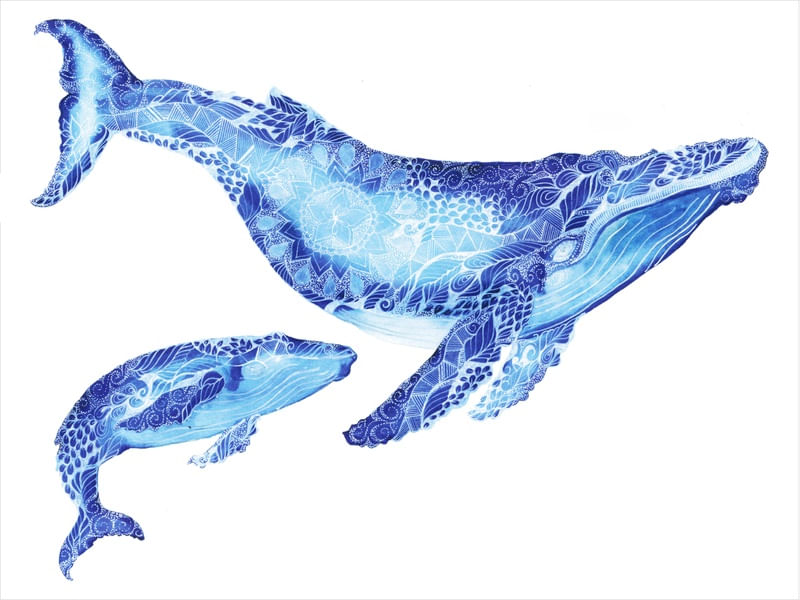 SAVE THE WHALES 2