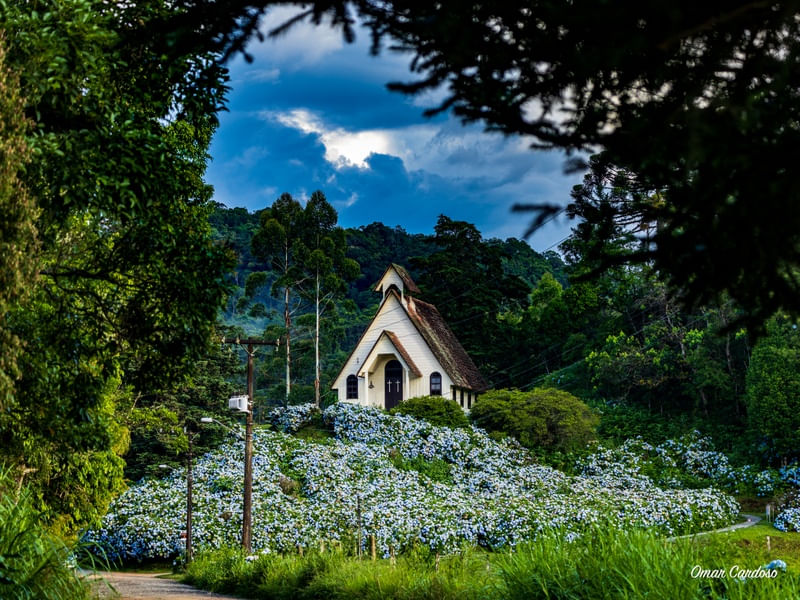ESTRADA DO RIO DO JÚLIO EM JOINVILLE