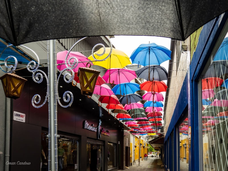 JOINVILLE UMA CIDADE EM QUE OS GUARDA-CHUVAS CONVERSAM