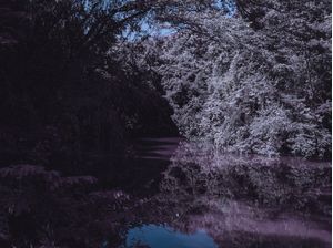 ÁRVORE REFLETIDA EM LAGO - INFRAVERMELHO