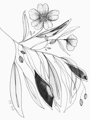 FLORALMILA PB