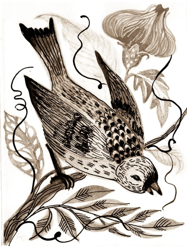 BIRDART