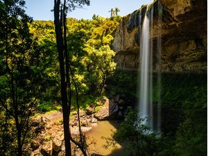 CACHOEIRA EM FLORESTA TROPICAL