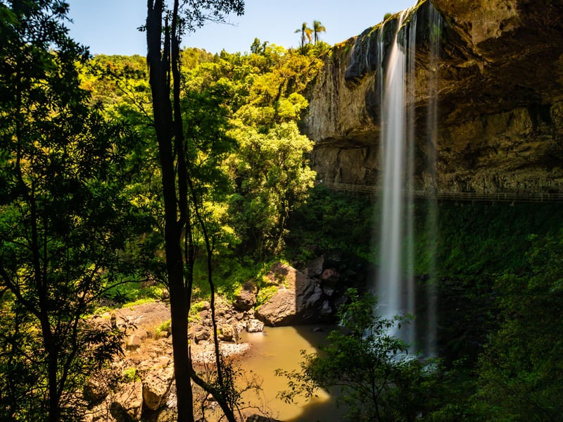 CACHOEIRA EM FLORESTA TROPICAL