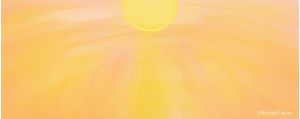 SUNSET FLOWER