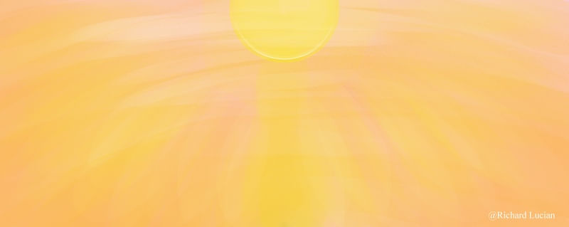 SUNSET FLOWER